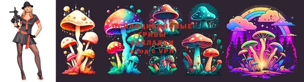 винт Армянск