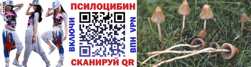 Псилоцибиновые грибы MAGIC MUSHROOMS  что такое наркотик  Пушкино 